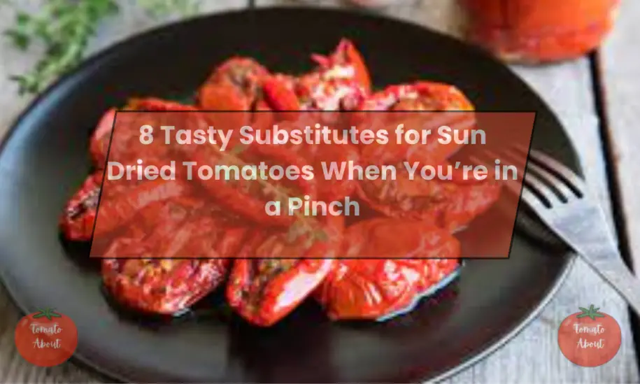8 Tasty Substitutes for Sun Dried Tomatoes When You’re in a Pinch
