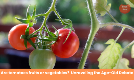 Tomatoes: Vegetable or Fruit? Unraveling the Age-Old Debate
