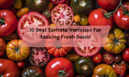 10 Best Tomato Varieties For Making Fresh Salsa