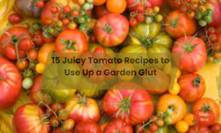 15 Juicy Tomato Recipes to Use Up a Garden Glut