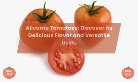 Alicante Tomatoes: Discover its Delicious Flavor and Versatile Uses