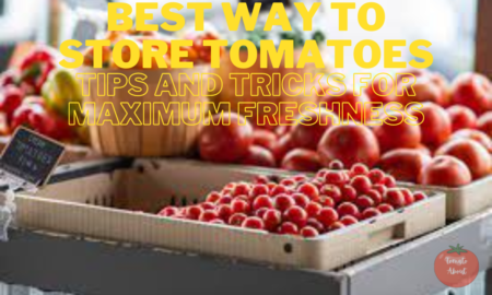 Best Way to Store Tomatoes: Tips and Tricks for Maximum Freshness