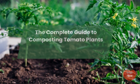 The Complete Guide to Composting Tomato Plants