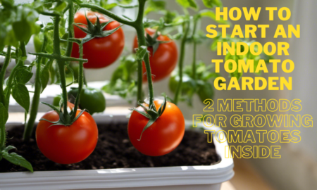 How to Start an Indoor Tomato Garden: 2 Methods for Growing Tomatoes Inside