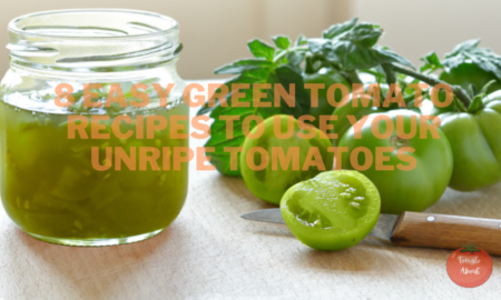 8 Easy Green Tomato Recipes To Use Your Unripe Tomatoes