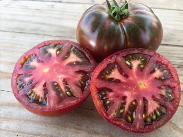 Black Krim Tomato