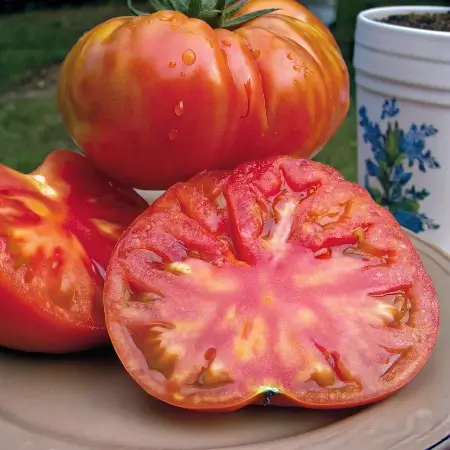 Deliciously Meaty Old German Tomato