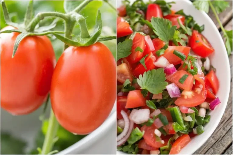 Best Tomato Varieties For Making Fresh Salsa