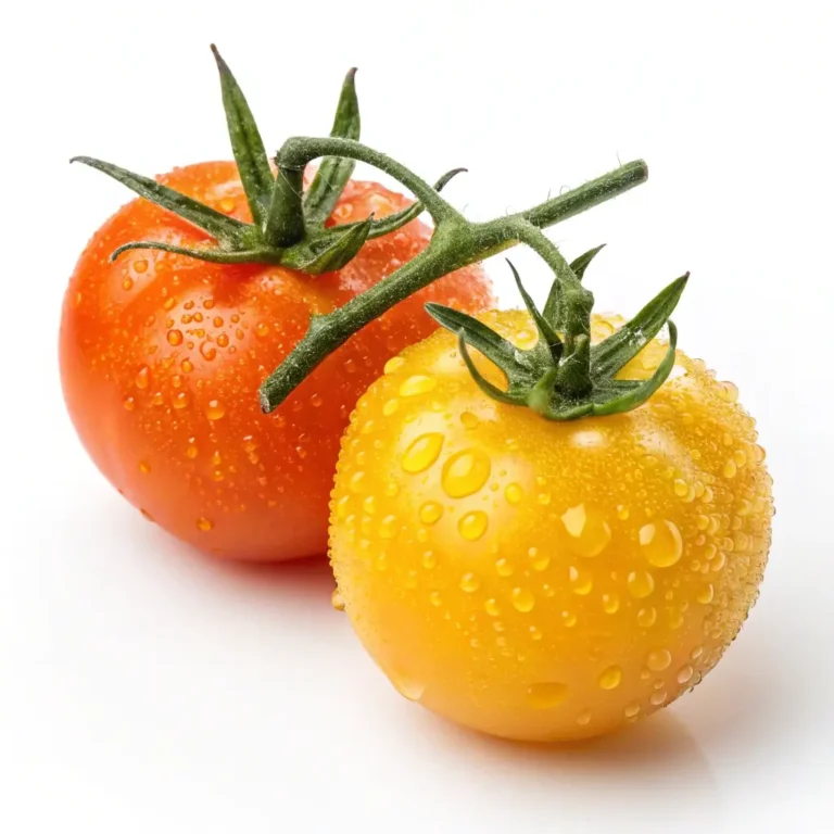 SunGold vs SunSugar Tomatoes