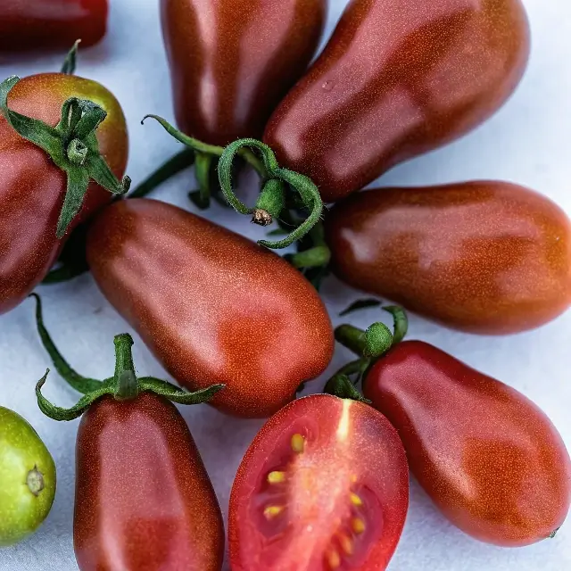 Chocolate Pear Tomato