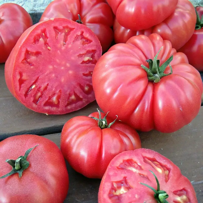 Brandywine Tomato
